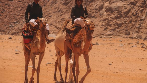 Jeep tour Wadi Rum