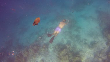 Snorkelen Maafushi Malediven