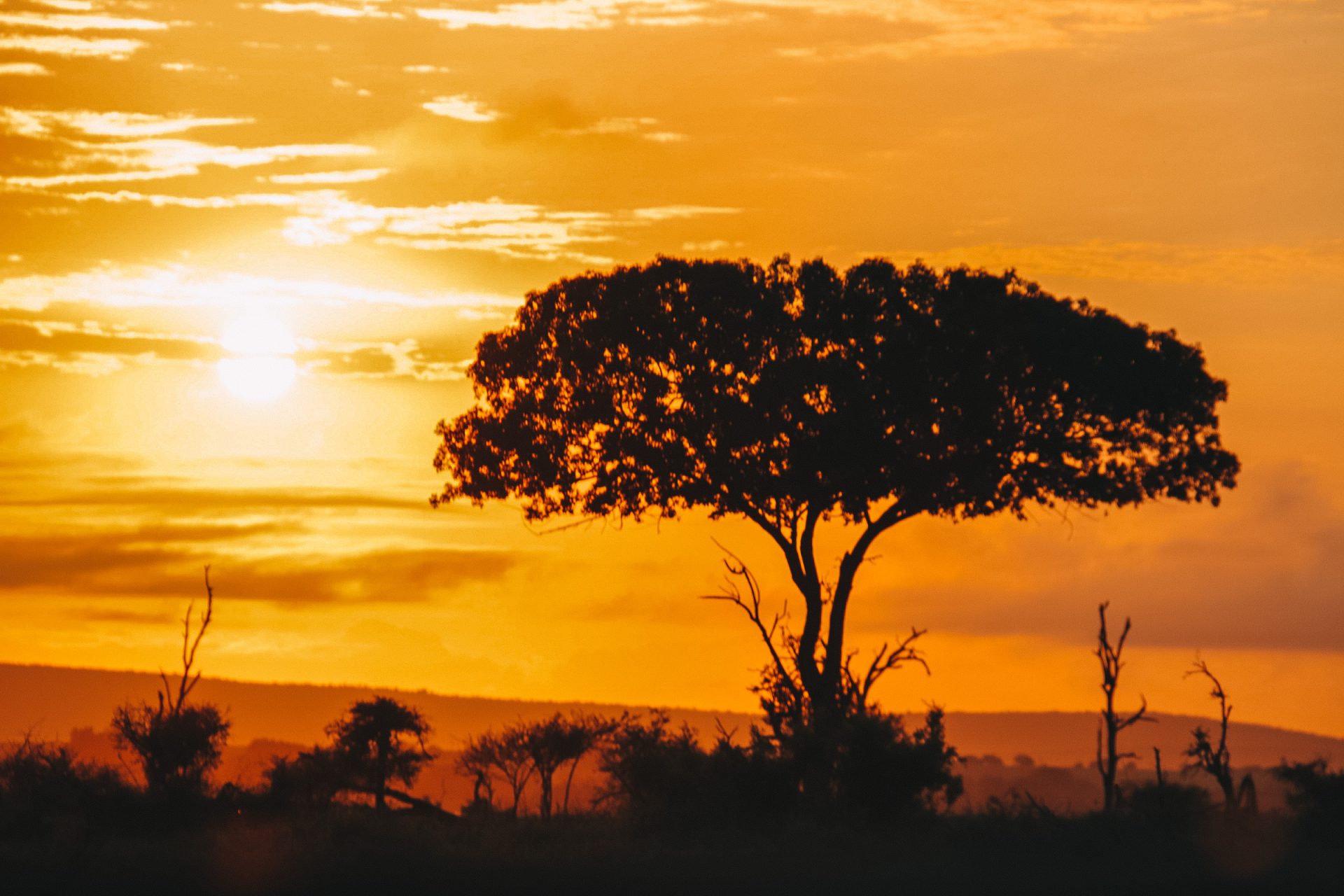 Reisroute Zuid-Afrika