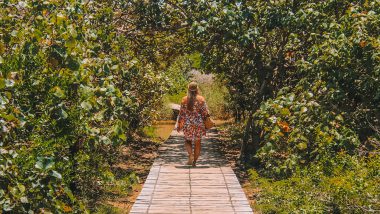 De Boardwalk St. Lucia