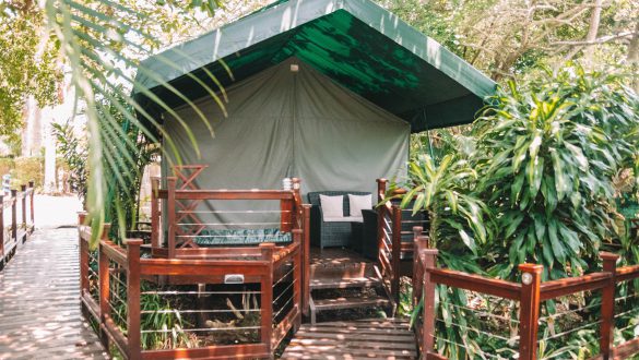 Luxury Tented Village @ Urban Glamping