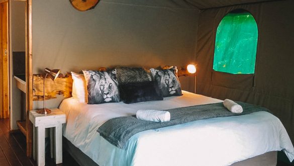 Luxury Tented Village @ Urban Glamping