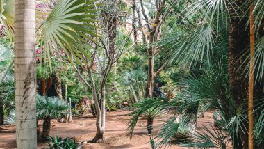 Majorelletuin Marrakech