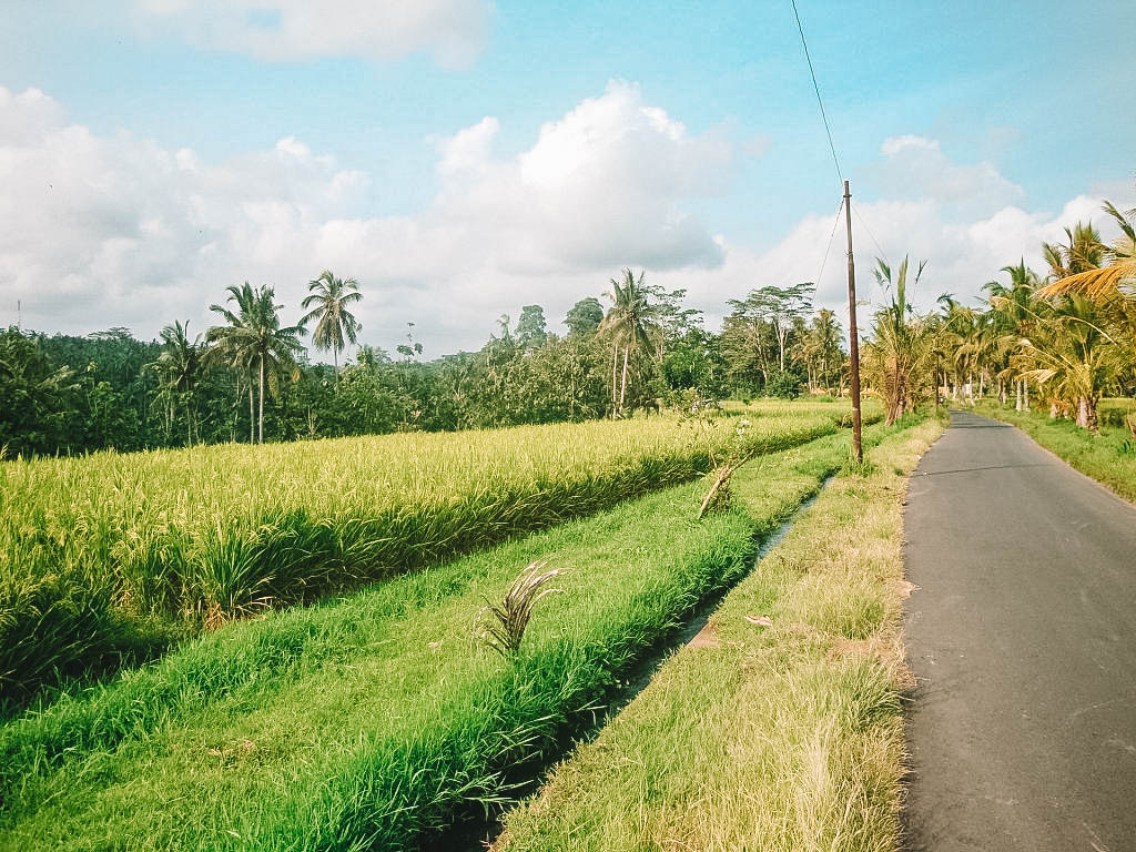 Scooter huren Ubud