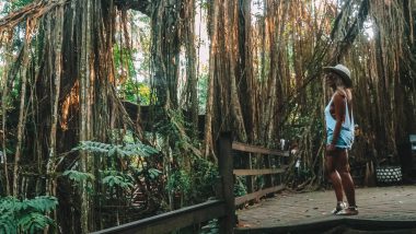 Monkey Forest Ubud