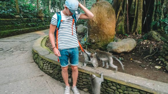 Monkey Forest Ubud