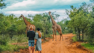 Giraffen encounter Hoedspruit