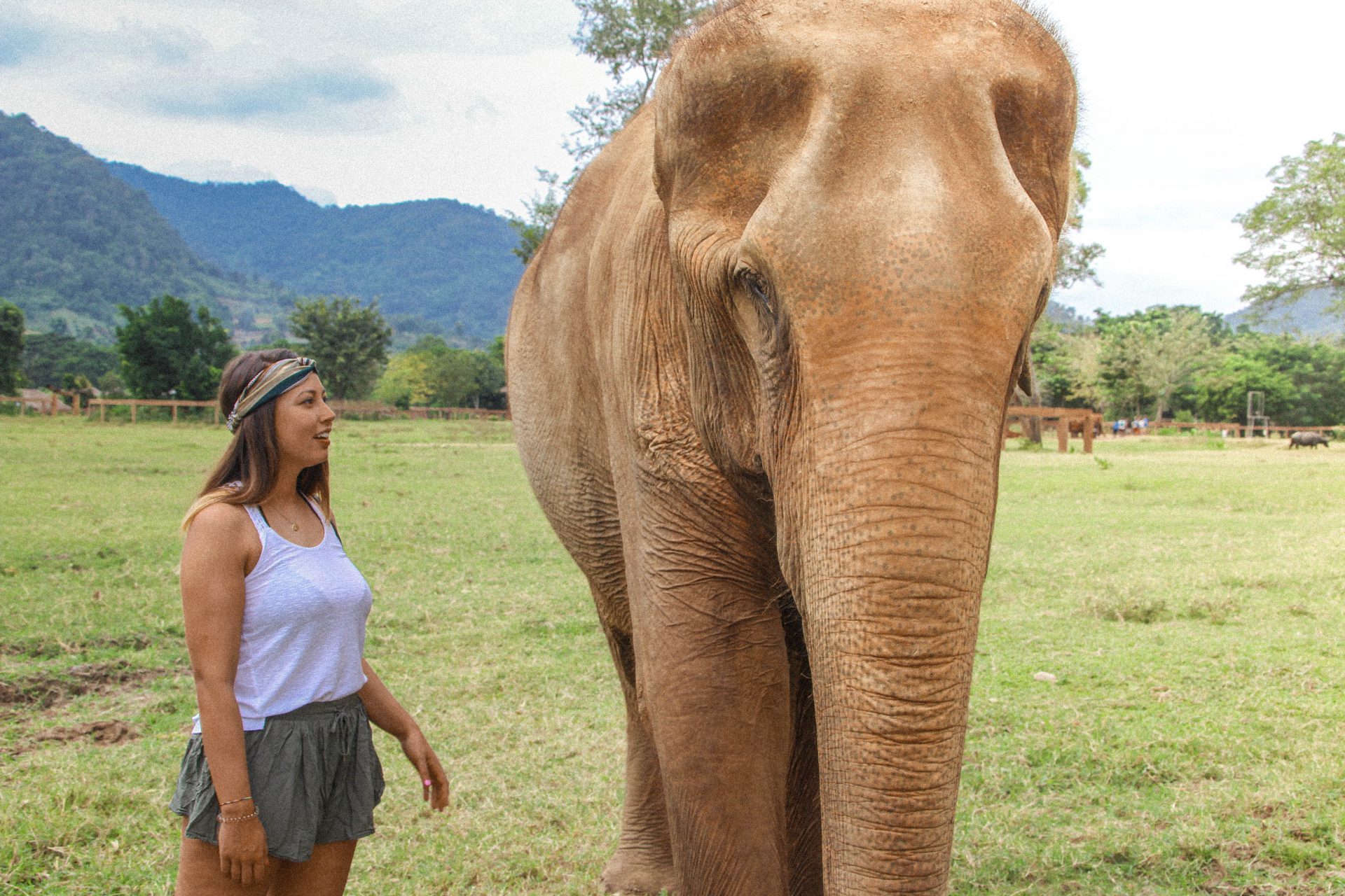 Elephant Nature Park