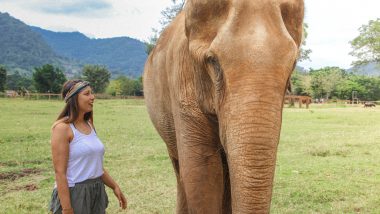 Elephant Nature Park