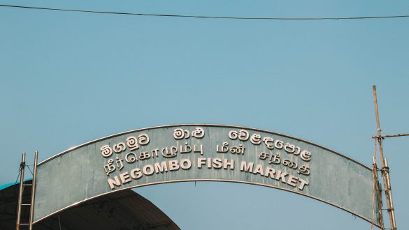 Negombo Vismarkt