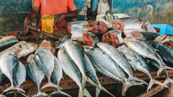 Negombo Vismarkt