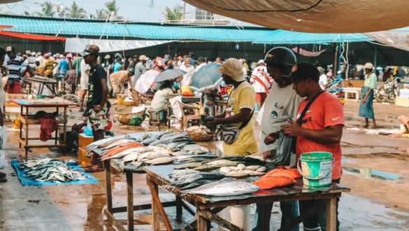 Negombo Vismarkt