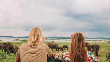 Kaudulla National Park