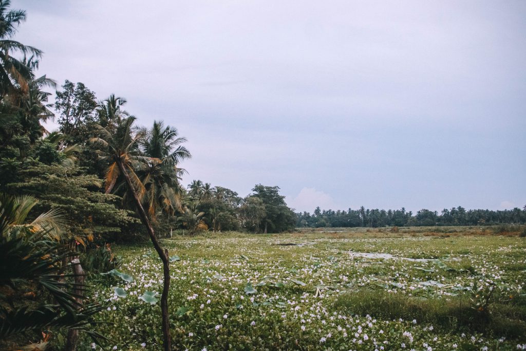 Debarawewa Lake