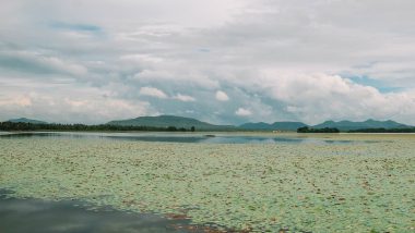 Tissamaharama Lake