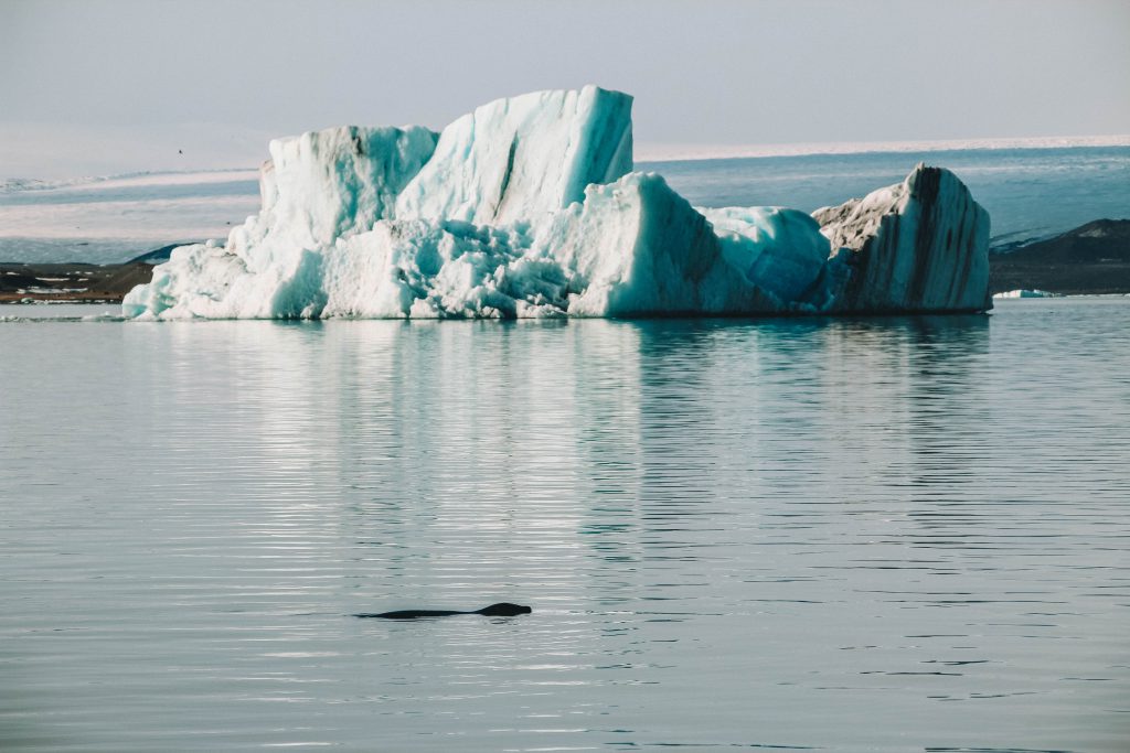 Jökulsárlón gletsjermeer