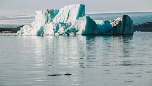 Jökulsárlón gletsjermeer