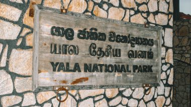 Yala National Park