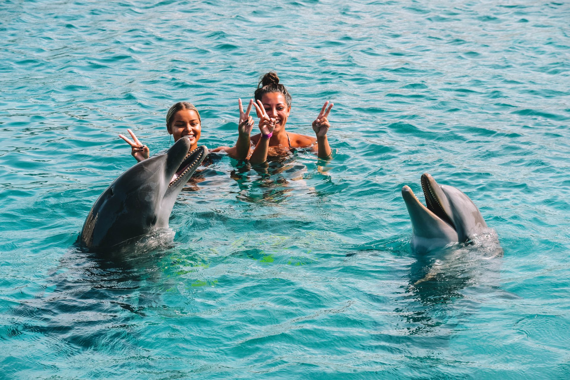 Zwemmen met dolfijnen Curaçao