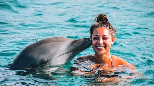 Zwemmen met dolfijnen Curaçao