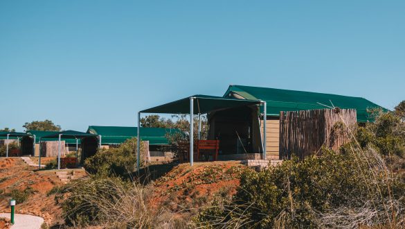 Hartenbos Private Game Lodge