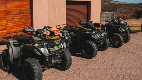 Quad Safari