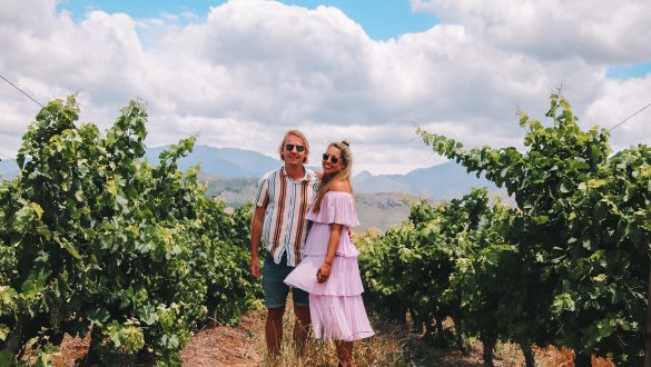 Wine tour Stellenbosch Franshhoek