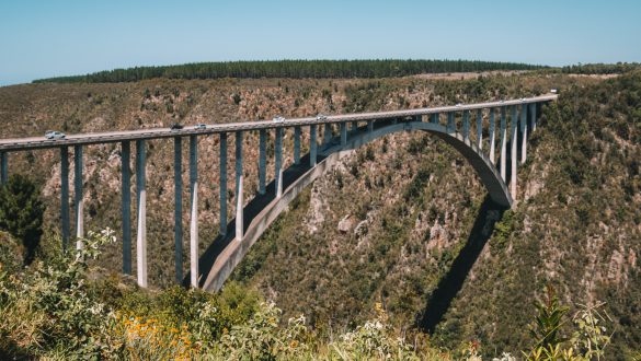 Bloukrans Bridge