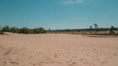 De Loonse en Drunense Duinen