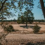 De Loonse en Drunense Duinen