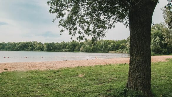 Meerse Plas - Zwemmeren Den Bosch