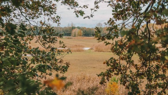 Moerputten Den Bosch