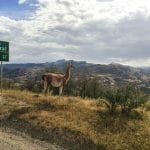 Carretera Austral