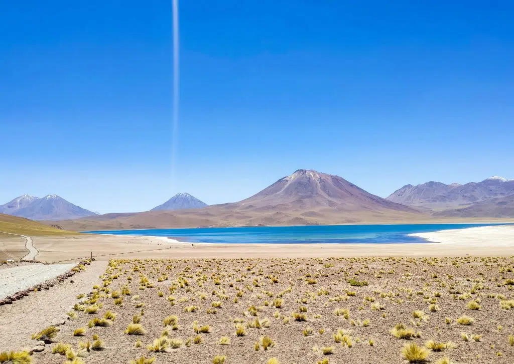 Laguna Miscanti