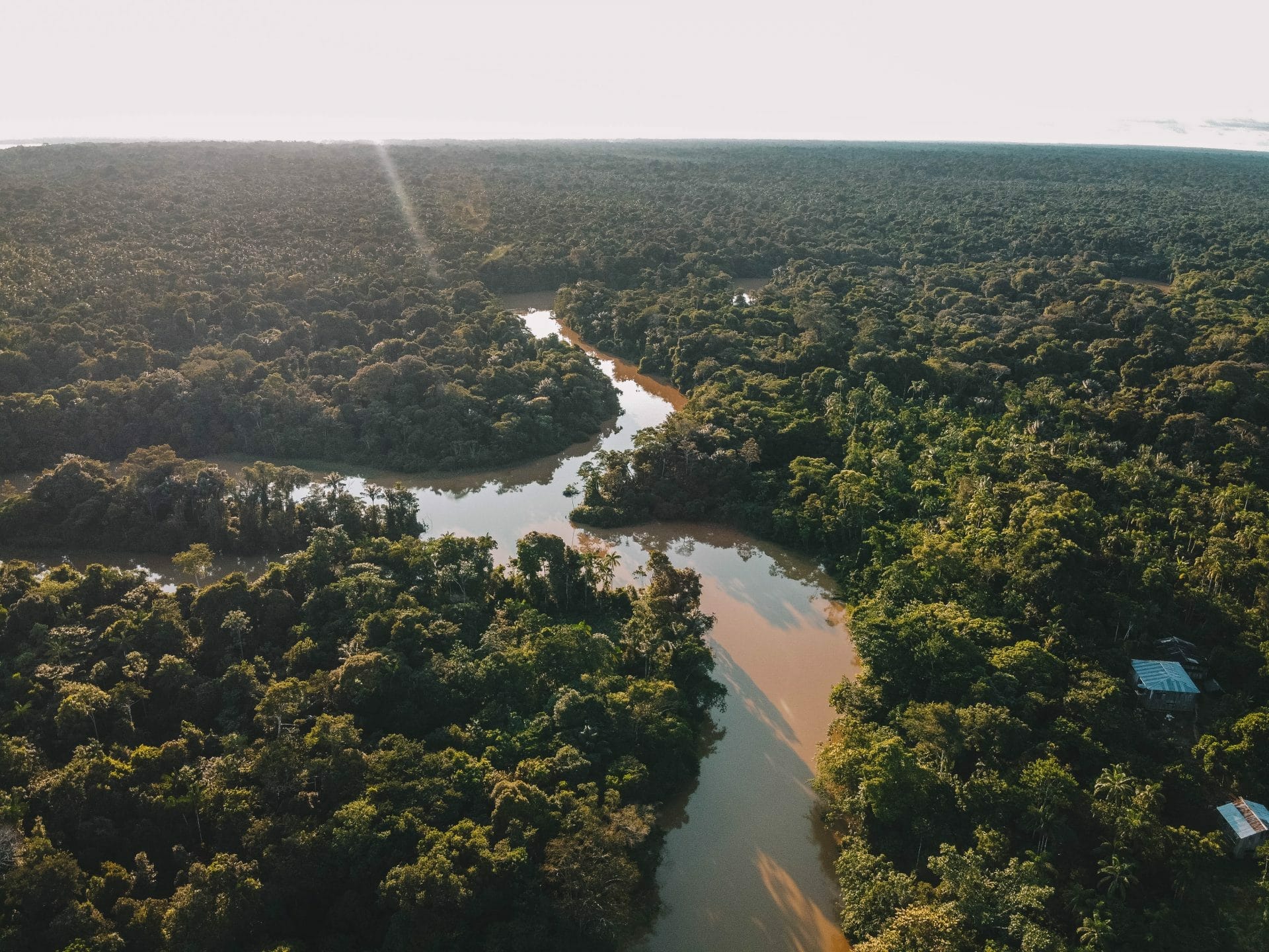 Amazone Colombia