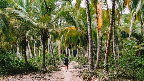 Wandelen Tayrona Park