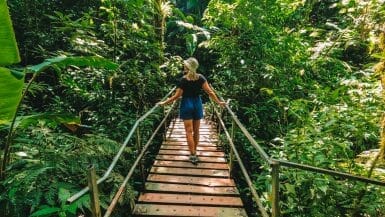 Santa Elena Cloud Forest Monteverde