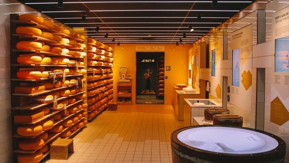 Gouda Cheese Experience