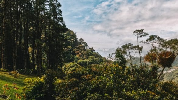 Boquete Panama