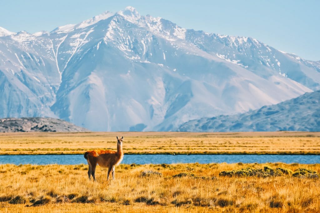 Argentinië natuur