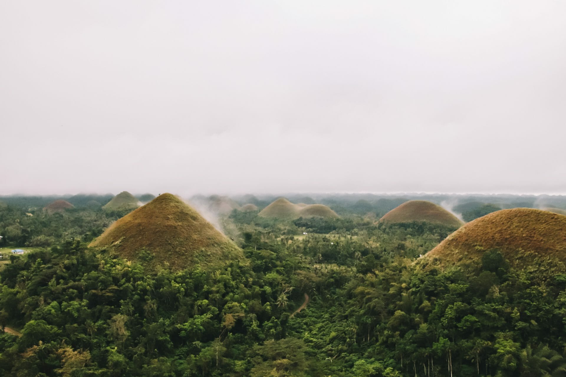 Chocolate Hills Bohol Filipijnen