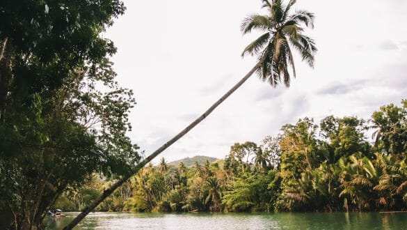 Loboc River Bohol