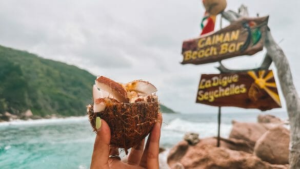 Caiman Beach Bar La Digue Kokosnoot