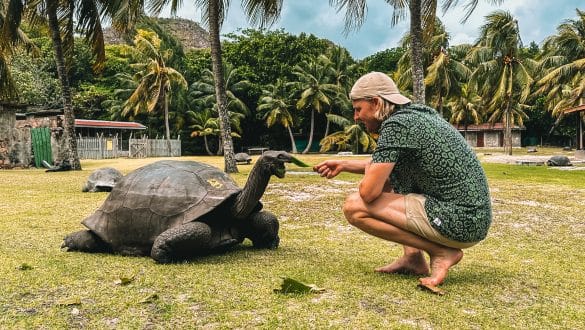 Reuzenschildpadden Curieuse Island Praslin Seychellen