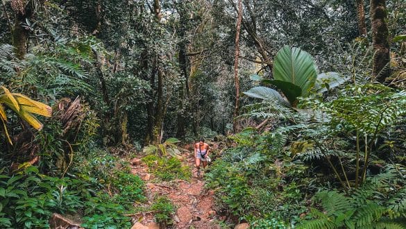 Uitzicht Morne Blanc Trail Mahé Seychellen