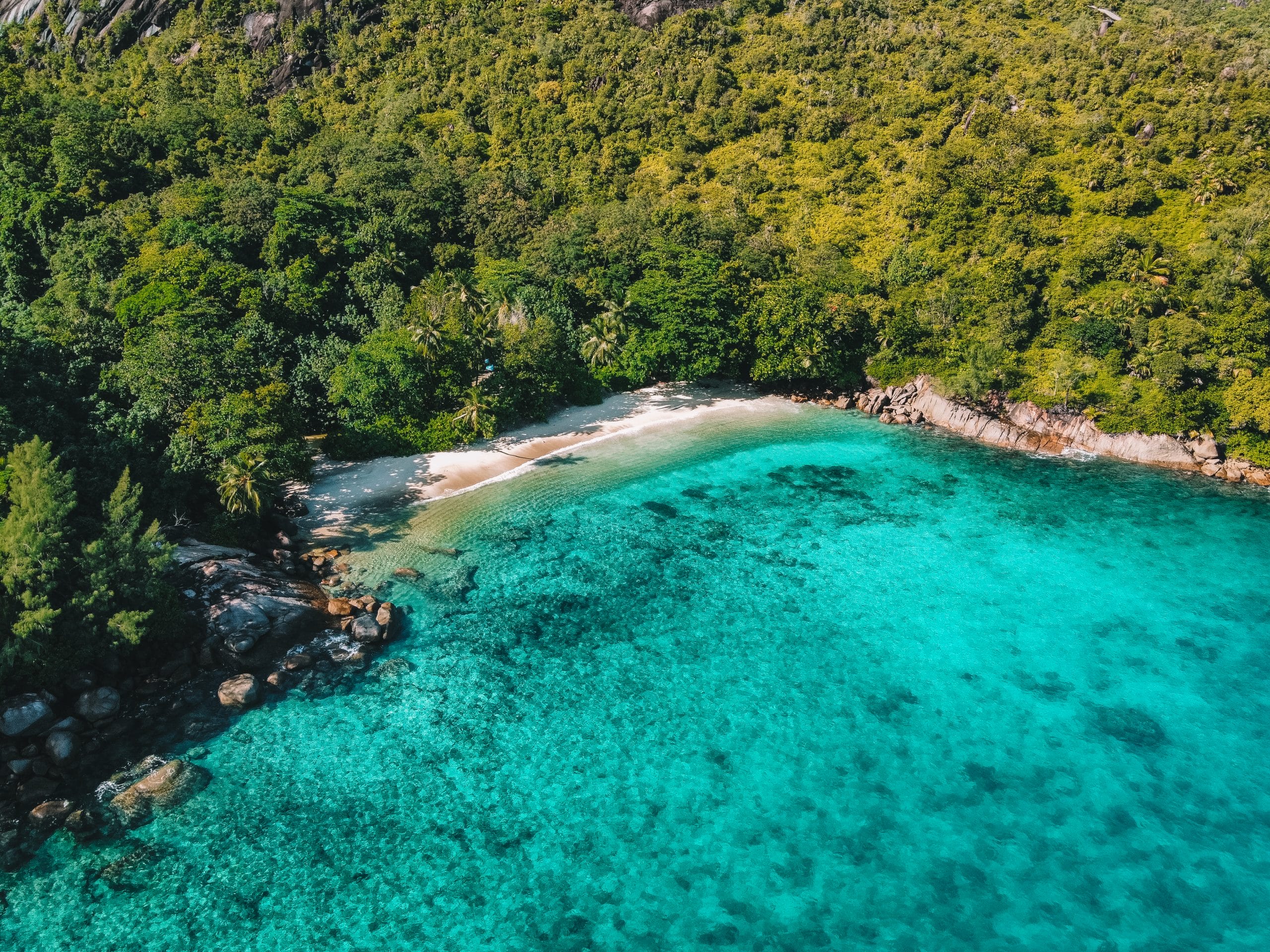 Wat te doen op Mahé, Seychellen Reisgids & Tips Traveldicted