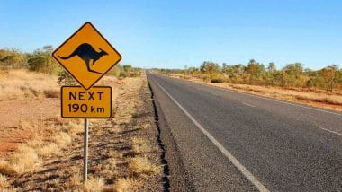 Kangoeroes Australie bord langs de weg