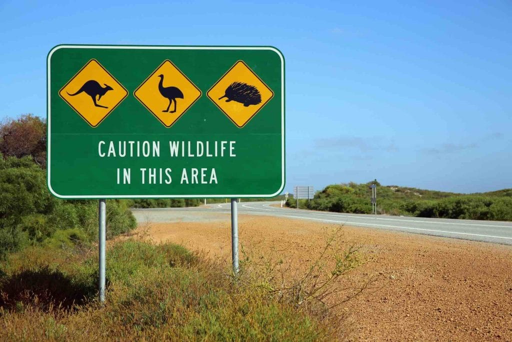 Wildlife bord Australie
