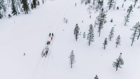 Huskytocht Wild Motion Huskies