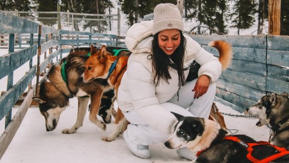 Huskytocht Wild Motion Huskies